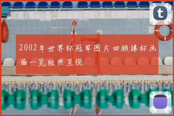2002年世界杯冠军图片回顾捧杯画面一览经典呈现