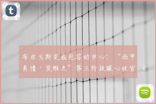 布尔戈斯变成包容的中心：“西甲真情·莫维夫”第三阶段暖心收官_赛事_赛场_社会