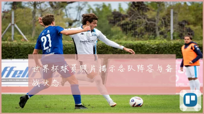 世界杯球员照片揭示各队阵容与备战状态