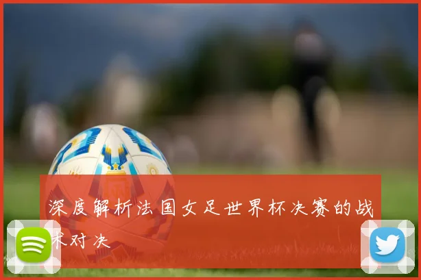 深度解析法国女足世界杯决赛的战术对决